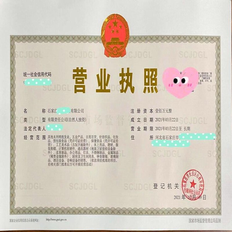 公司注册代办：为企业成长铺设绿色通道